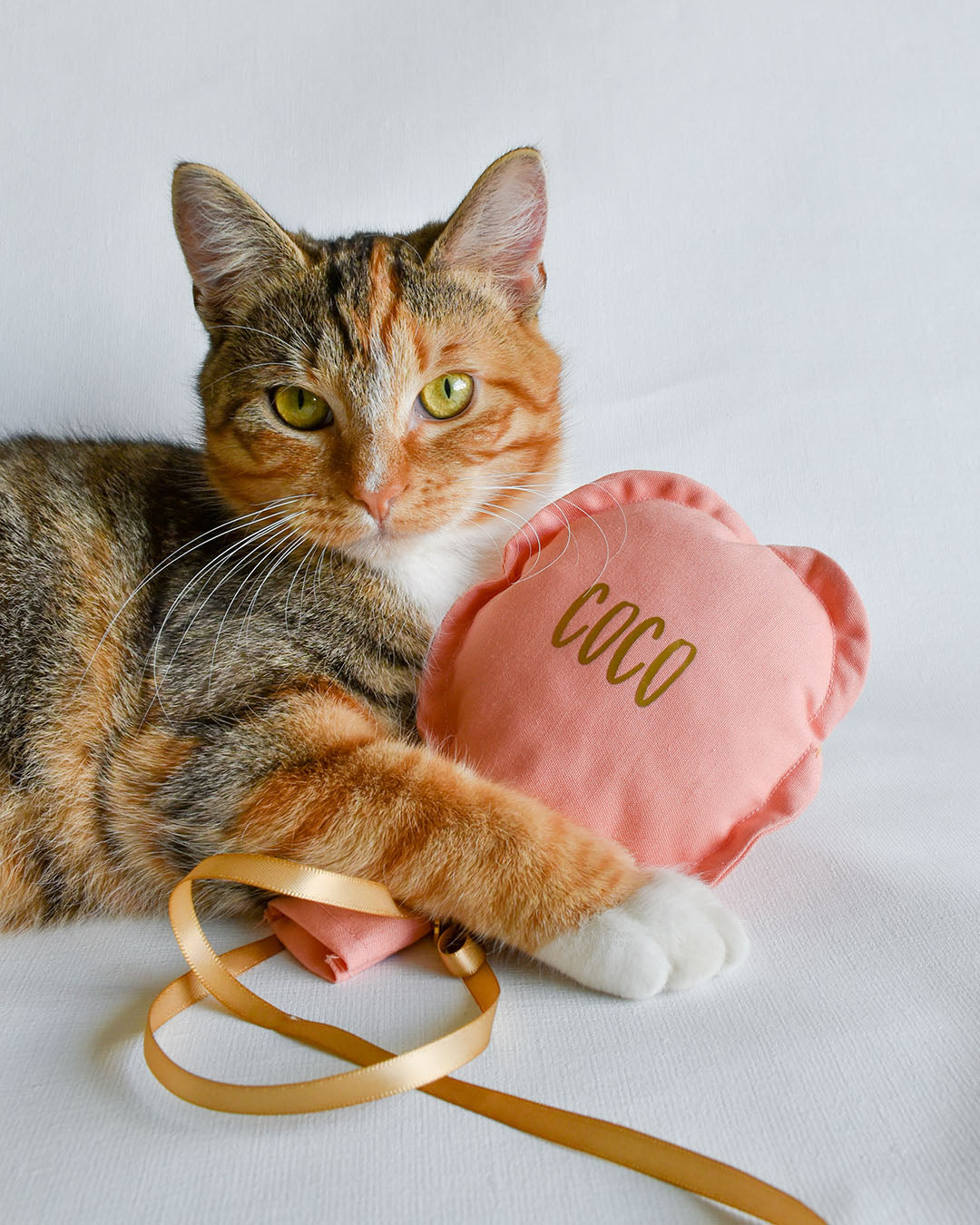 Ballon zacht roze / oud roze - Kattenspeeltje - Kattenkruid speeltje - handgemaakt - Nijmegen - Maudje & Co - kat - kattenspeelgoed