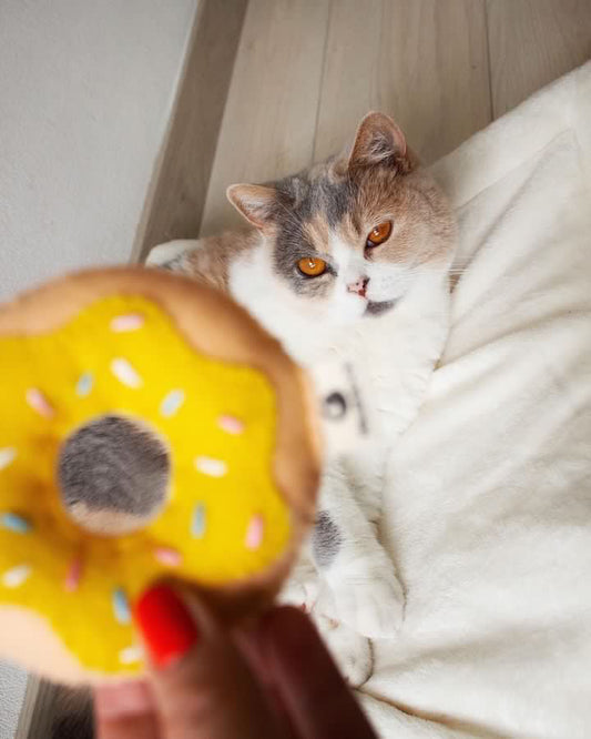 Donut - Banana Sprinkles -  Kattenspeelgoed - donut, kattenkruid, speeltje - Door Maudje & Co